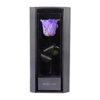 Enchanted Love Pirouette - Posh Purple