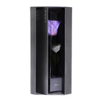 Enchanted Love Pirouette - Posh Purple