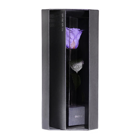 Enchanted Love Pirouette - Posh Purple