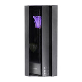 Enchanted Love Pirouette - Posh Purple
