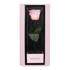 Enchanted Love Pirouette Special Edition - Innocent Pink