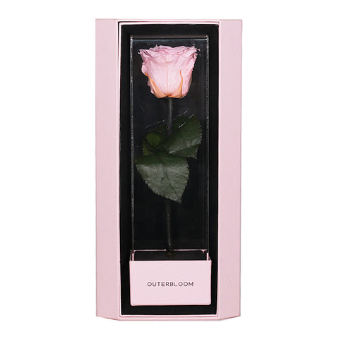 Enchanted Love Pirouette Special Edition - Innocent Pink