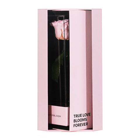 Enchanted Love Pirouette Special Edition - Innocent Pink