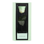 Enchanted Love Pirouette Special Edition - Mint Oasis