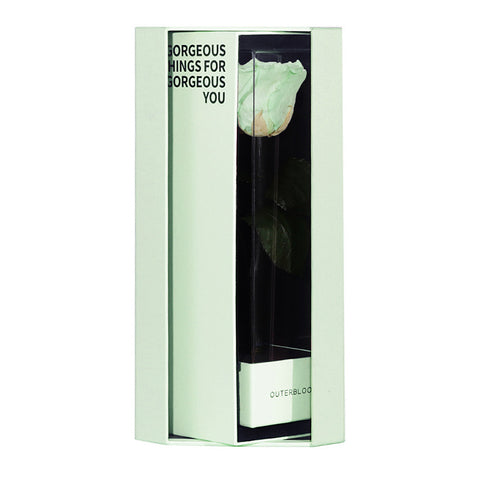 Enchanted Love Pirouette Special Edition - Mint Oasis