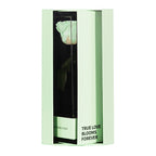 Enchanted Love Pirouette Special Edition - Mint Oasis