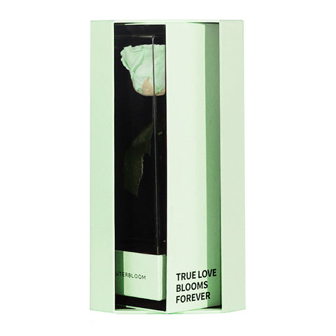 Enchanted Love Pirouette Special Edition - Mint Oasis