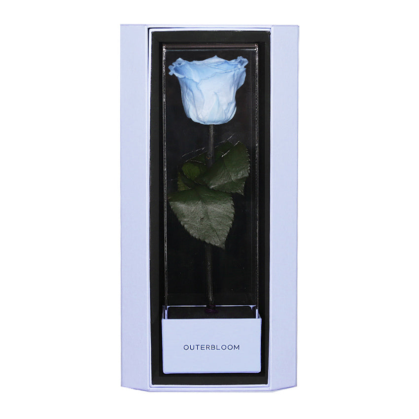Enchanted Love Pirouette Special Edition - Sky Blue