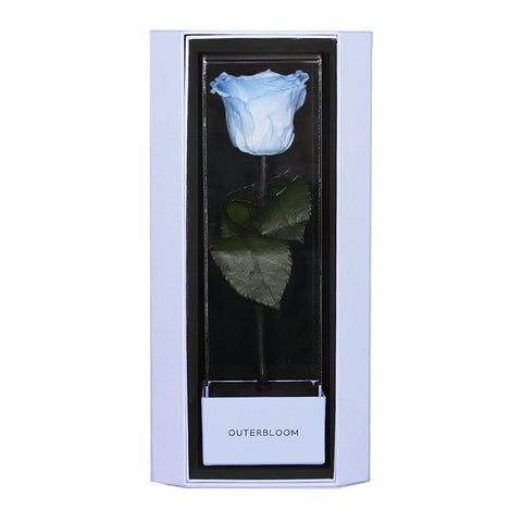 Enchanted Love Pirouette Special Edition - Sky Blue