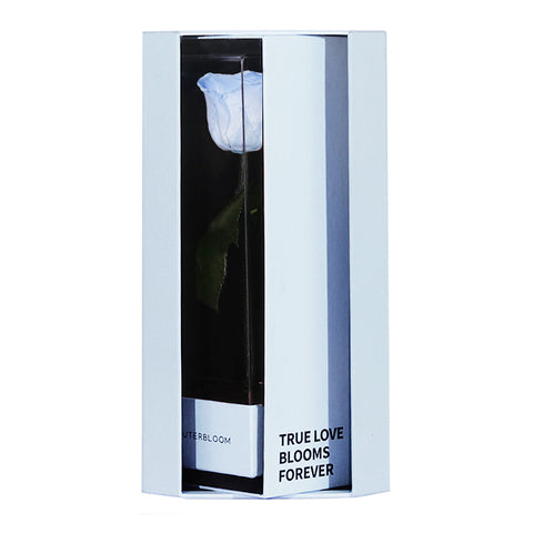 Enchanted Love Pirouette Special Edition - Sky Blue