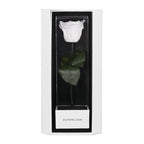 Enchanted Love Pirouette Special Edition - Angelic White