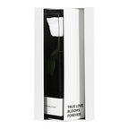 Enchanted Love Pirouette Special Edition - Angelic White