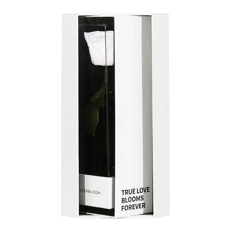 Enchanted Love Pirouette Special Edition - Angelic White