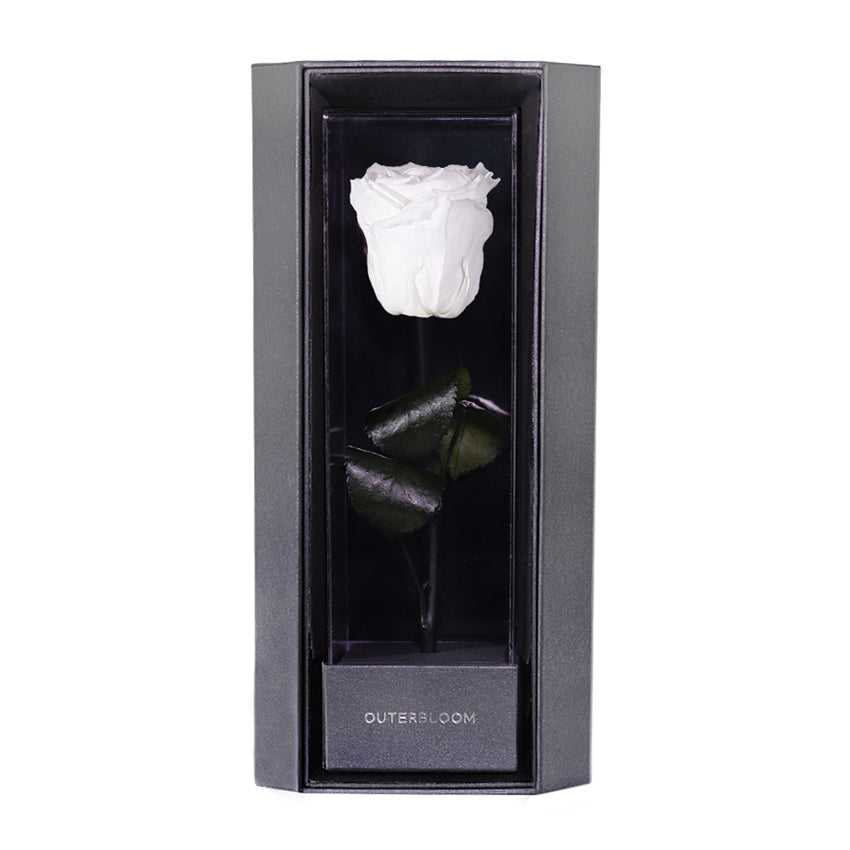 Enchanted Love Pirouette - Angelic White