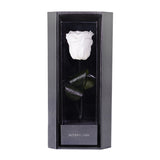 Enchanted Love Pirouette - Angelic White