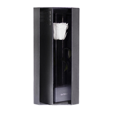 Enchanted Love Pirouette - Angelic White