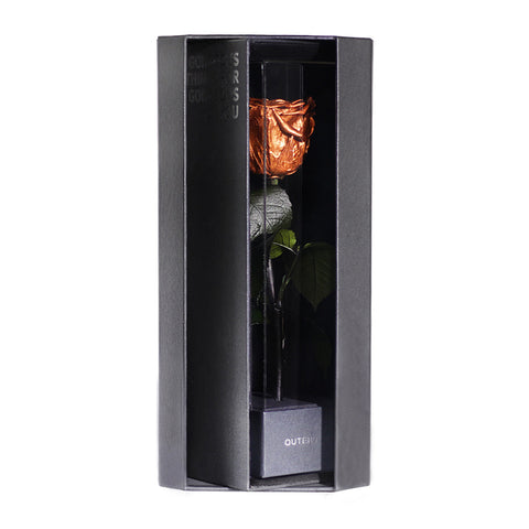 Enchanted Love Pirouette - Champagne Gold