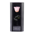 Enchanted Love Pirouette - Innocent Pink