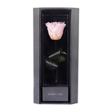 Enchanted Love Pirouette - Innocent Pink