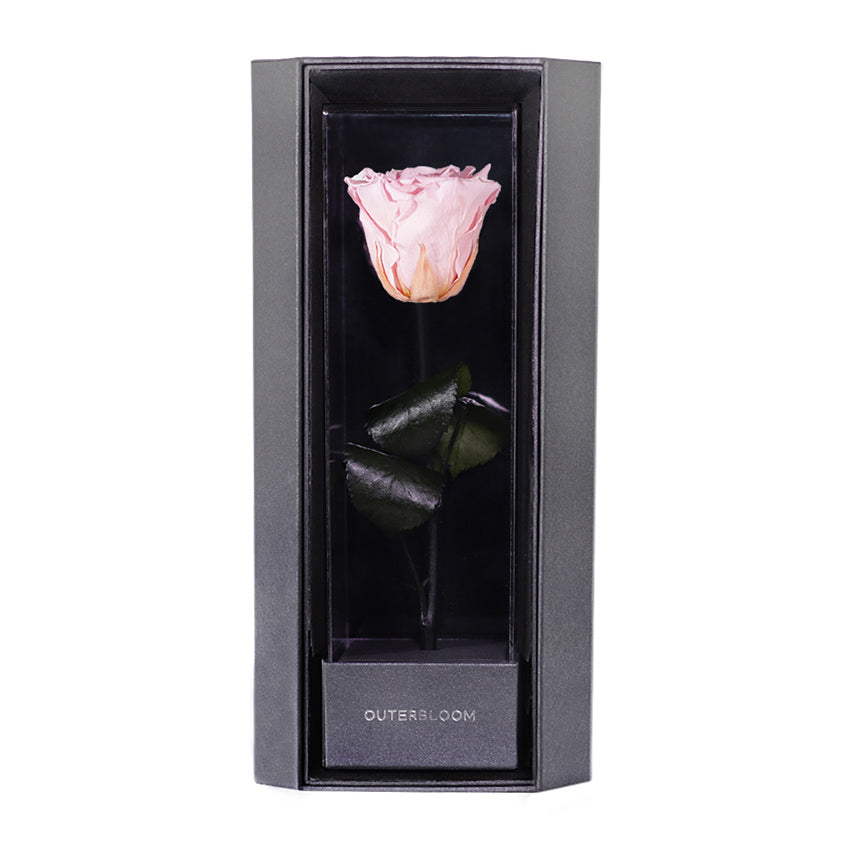 Enchanted Love Pirouette - Innocent Pink