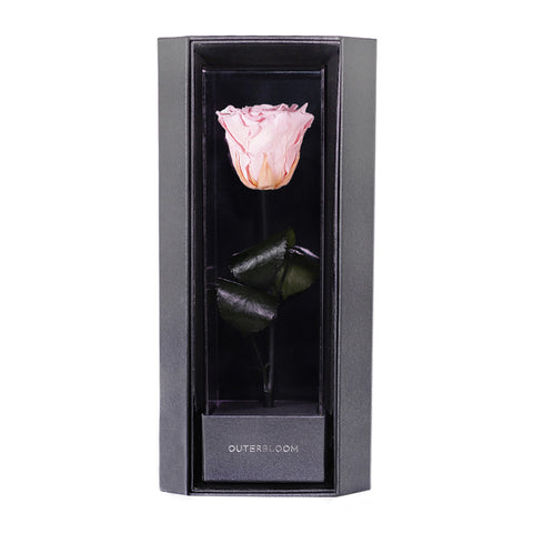 Enchanted Love Pirouette - Innocent Pink