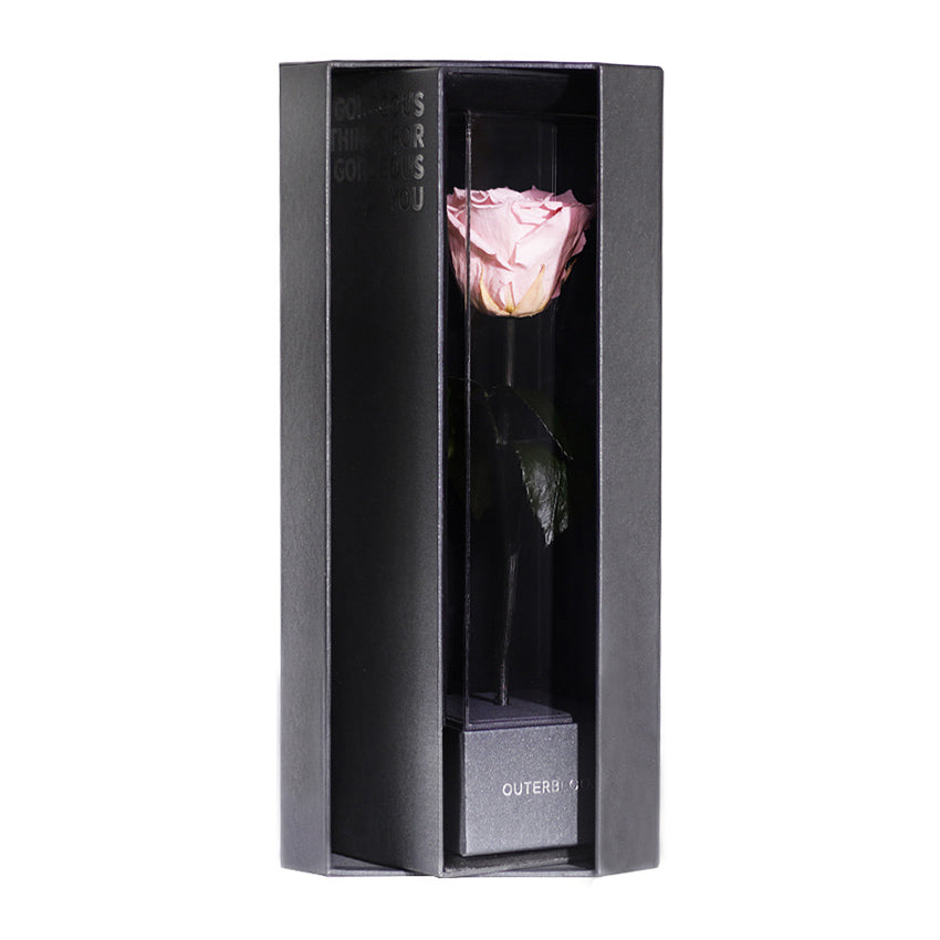Enchanted Love Pirouette - Innocent Pink