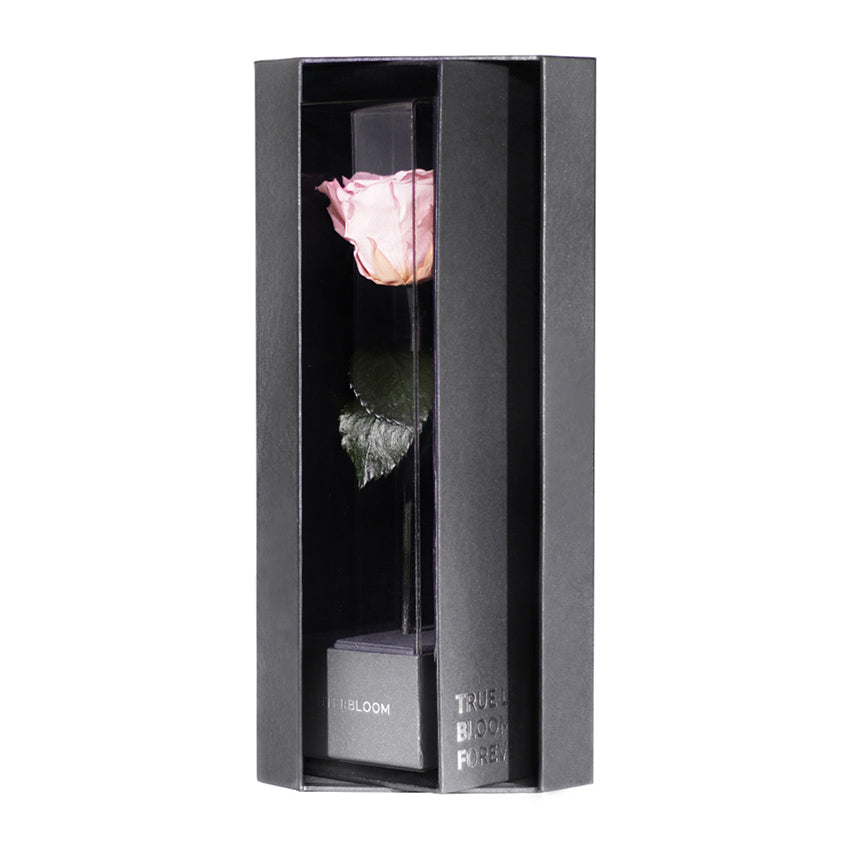 Enchanted Love Pirouette - Innocent Pink