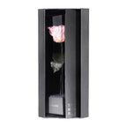Enchanted Love Pirouette - Innocent Pink