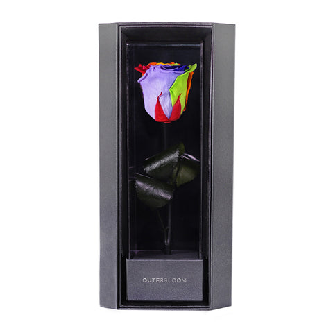 Enchanted Love Pirouette - Magic Rainbow