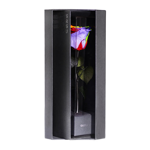 Enchanted Love Pirouette - Magic Rainbow