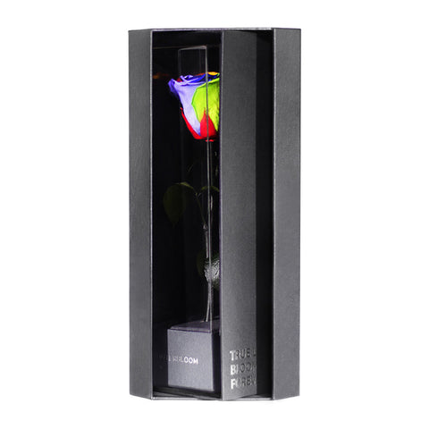 Enchanted Love Pirouette - Magic Rainbow