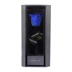 Enchanted Love Pirouette - Midnight Blue
