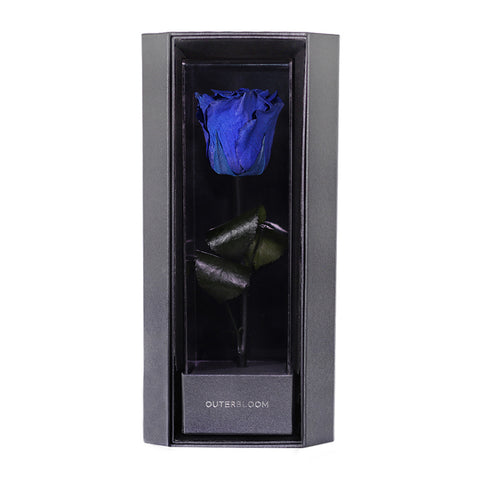 Enchanted Love Pirouette - Midnight Blue