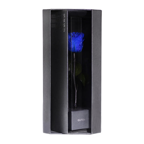 Enchanted Love Pirouette - Midnight Blue