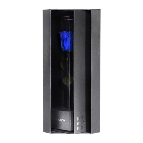 Enchanted Love Pirouette - Midnight Blue