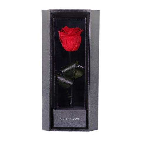 Enchanted Love Pirouette - Passionate Red