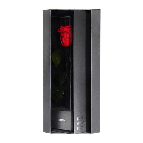 Enchanted Love Pirouette - Passionate Red