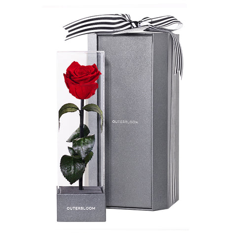 Signature Christmas Grande Pirouette Hampers