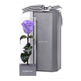Enchanted Love Pirouette - Posh Purple