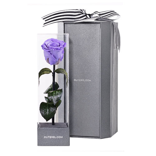Enchanted Love Pirouette - Posh Purple