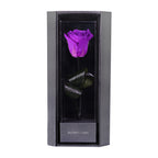 Enchanted Love Pirouette - Royal Purple