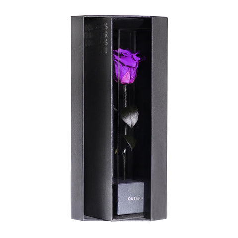 Enchanted Love Pirouette - Royal Purple