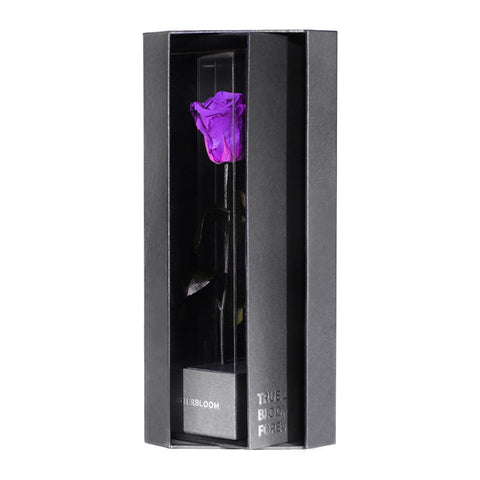 Enchanted Love Pirouette - Royal Purple