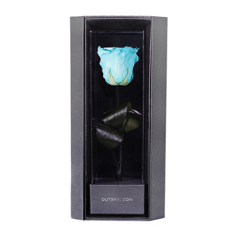 Enchanted Love Pirouette - Tiffany Blue