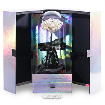 Enchanted Velvet Heart Sparkle