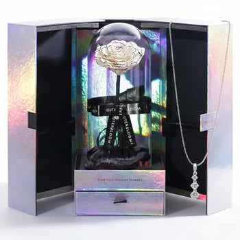 Enchanted Velvet Trilogy Shine