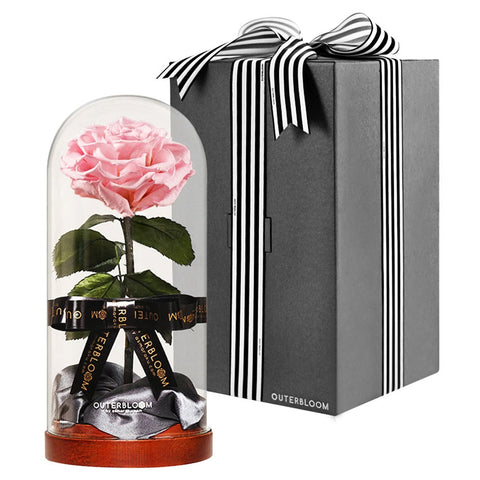 Enchanted Dome - Innocent Pink