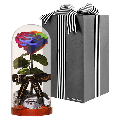 Enchanted Dome - Magic Rainbow