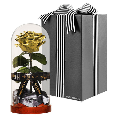 Enchanted Dome - Royal Gold