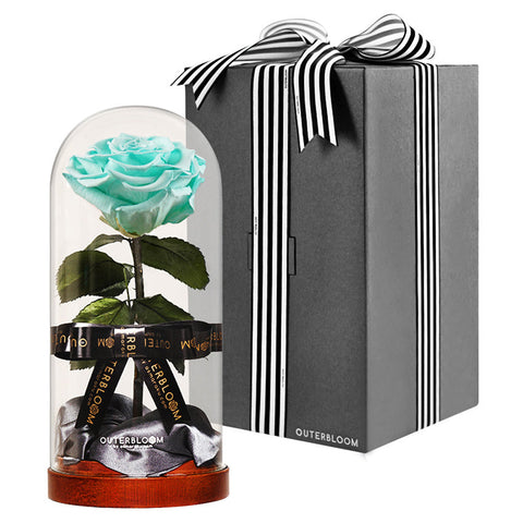 Enchanted Dome - Tiffany Blue